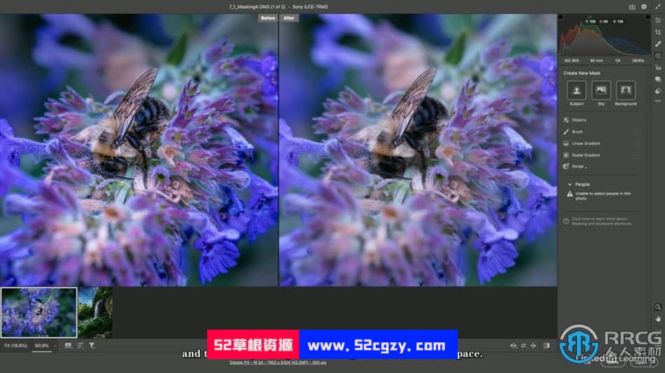 【中文字幕】Photoshop 2023选择工具使用技巧视频教程 PS教程 第4张