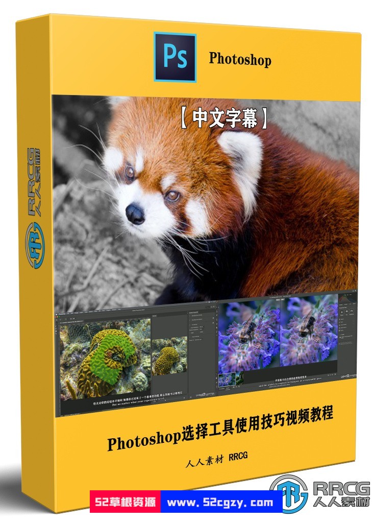 【中文字幕】Photoshop 2023选择工具使用技巧视频教程 PS教程 第1张