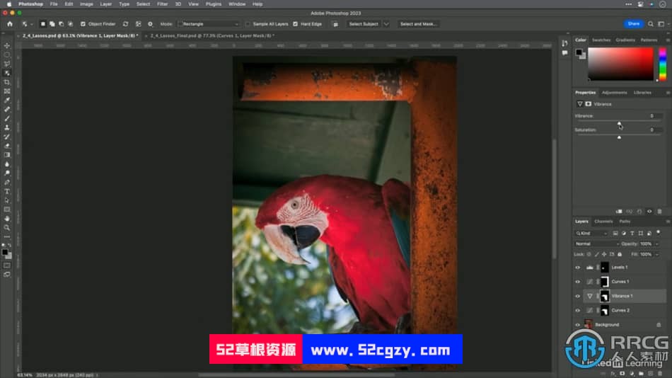 【中文字幕】Photoshop 2023选择工具使用技巧视频教程 PS教程 第8张