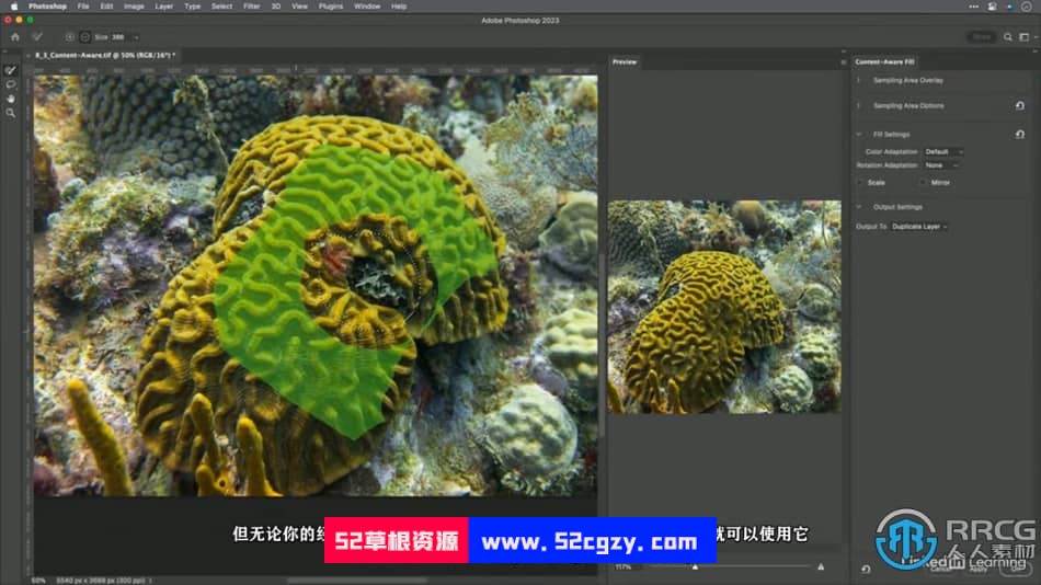 【中文字幕】Photoshop 2023选择工具使用技巧视频教程 PS教程 第6张