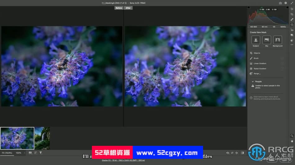 【中文字幕】Photoshop 2023选择工具使用技巧视频教程 PS教程 第5张