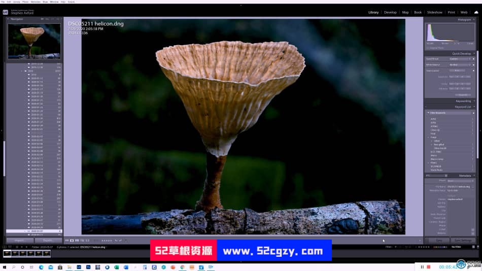 自然森林真菌蘑菇摄影技术大师班视频教程 摄影 第12张