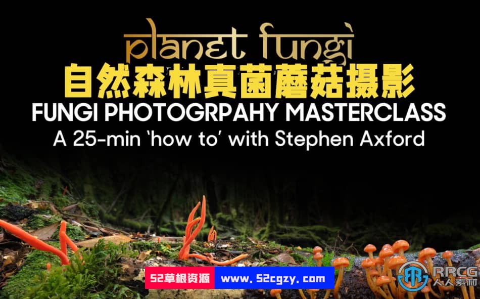 自然森林真菌蘑菇摄影技术大师班视频教程 摄影 第1张