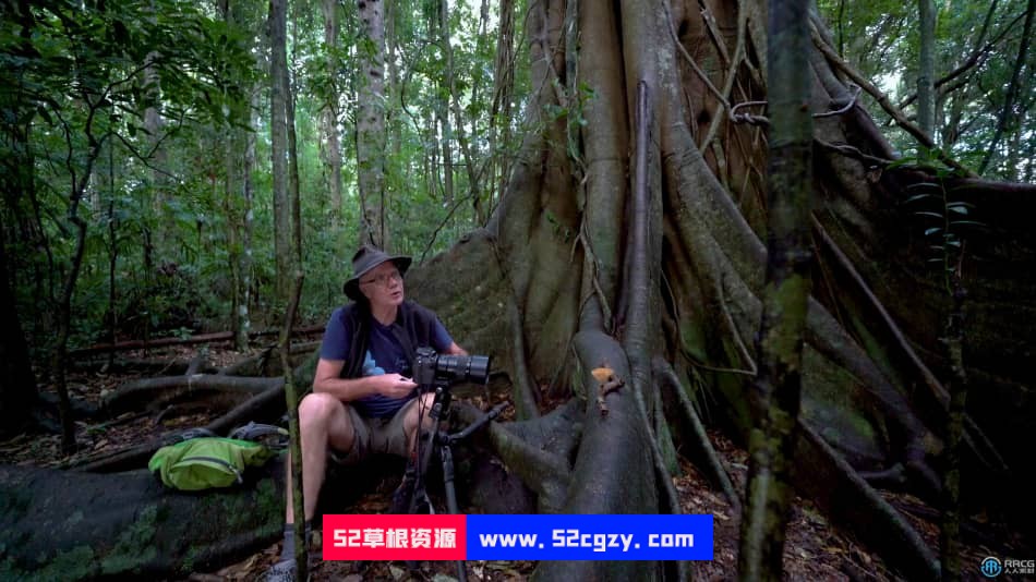 自然森林真菌蘑菇摄影技术大师班视频教程 摄影 第8张