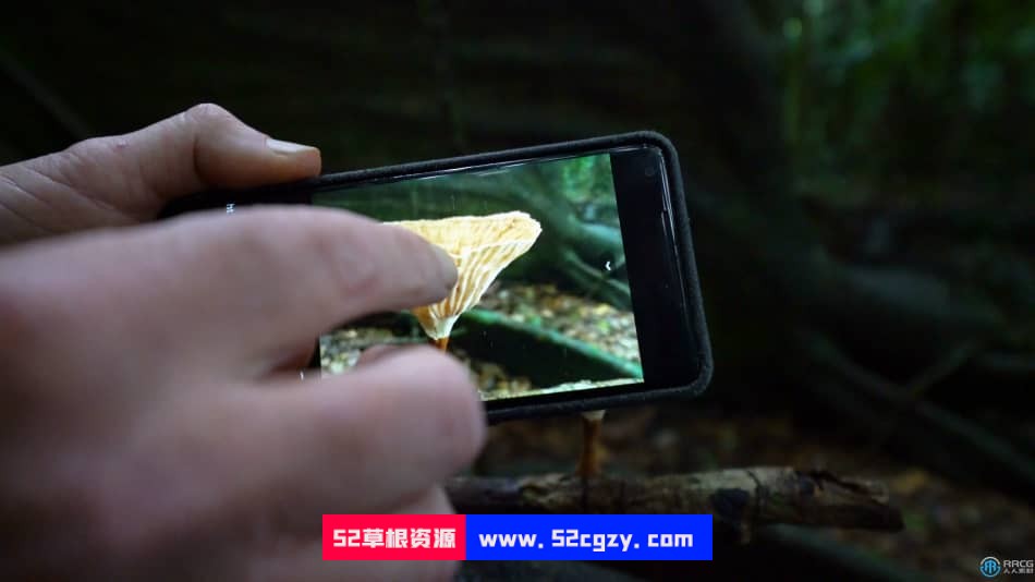 自然森林真菌蘑菇摄影技术大师班视频教程 摄影 第10张