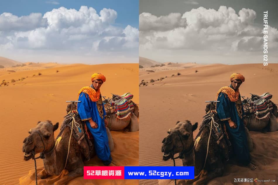 25个沙漠骆驼旅行摄影Lightroom预设及电影视频PR调色LUT预设 LR预设 第3张