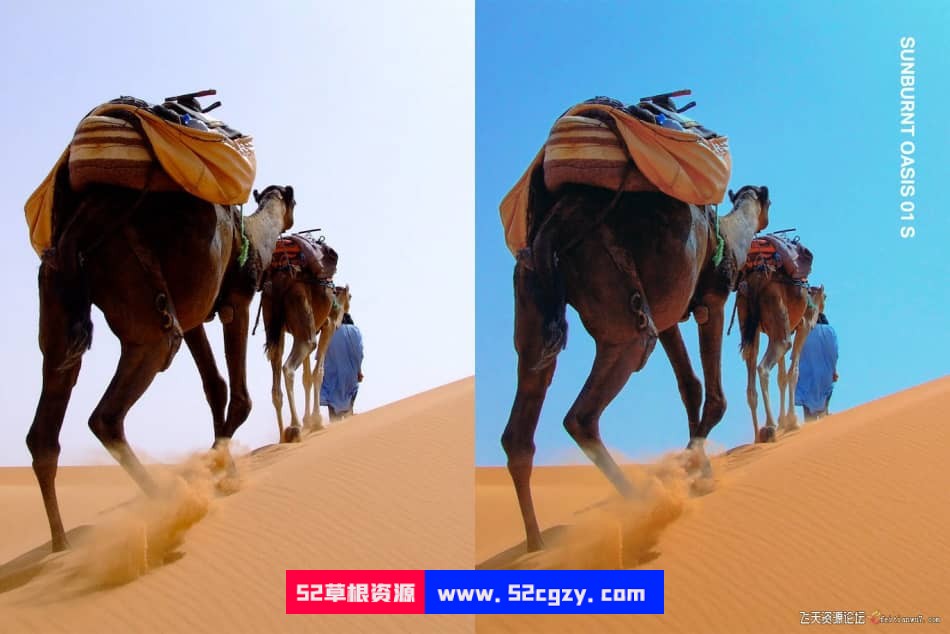 25个沙漠骆驼旅行摄影Lightroom预设及电影视频PR调色LUT预设 LR预设 第2张