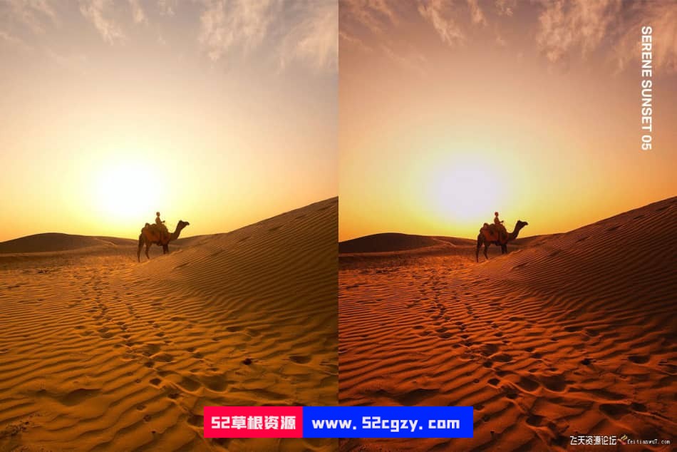 25个沙漠骆驼旅行摄影Lightroom预设及电影视频PR调色LUT预设 LR预设 第6张