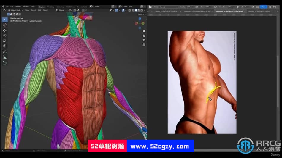 Blender雷神影视角色人体解剖学大师级训练视频教程 Blender 第8张