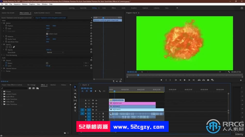 Premiere Pro CC创意内容视频编辑技术训练视频教程 Procreate 第4张