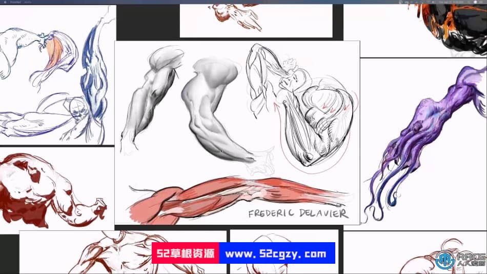 人像解剖学数字绘画系列教程之 - 手臂 CG 第4张