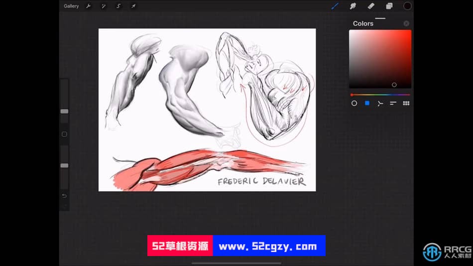 人像解剖学数字绘画系列教程之 - 手臂 CG 第6张
