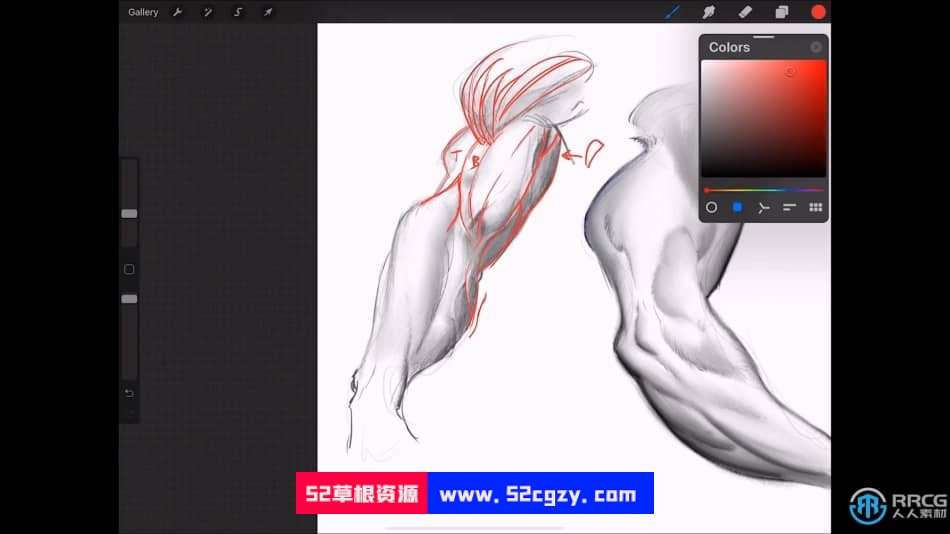 人像解剖学数字绘画系列教程之 - 手臂 CG 第5张
