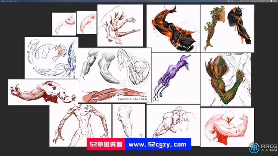 人像解剖学数字绘画系列教程之 - 手臂 CG 第3张