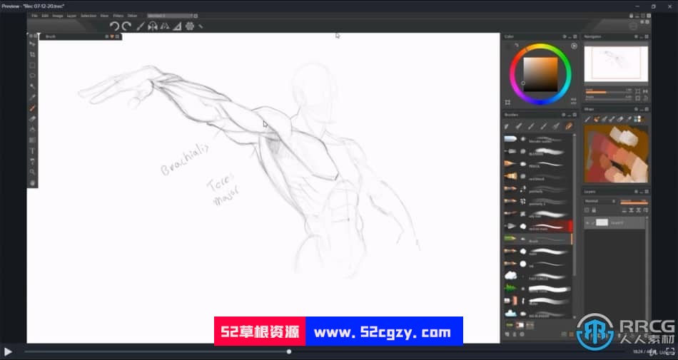 人体解剖学手脚头脸骨骼肌肉等数字绘画大师级视频教程 CG 第11张