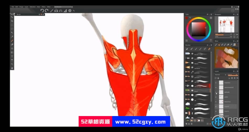 人体解剖学手脚头脸骨骼肌肉等数字绘画大师级视频教程 CG 第9张