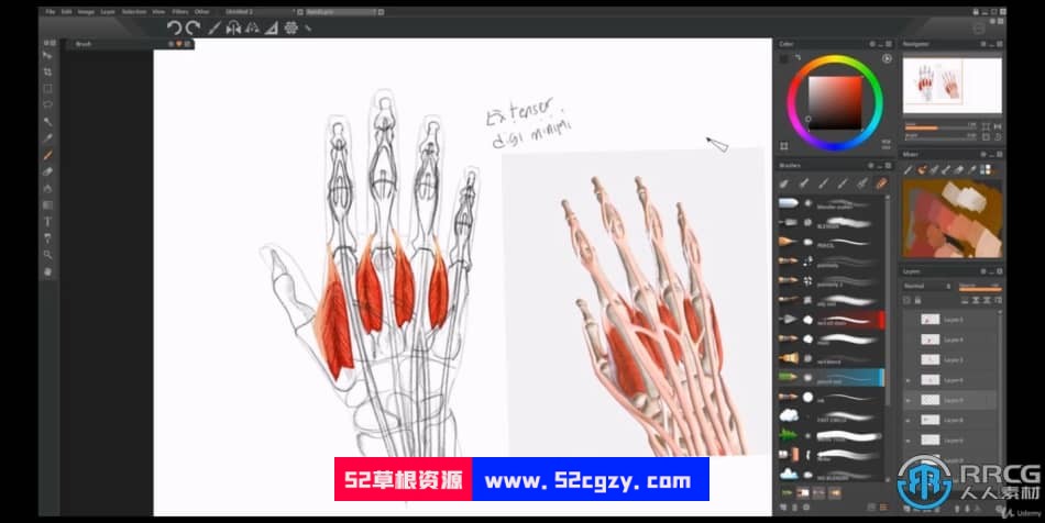 人体解剖学手脚头脸骨骼肌肉等数字绘画大师级视频教程 CG 第12张