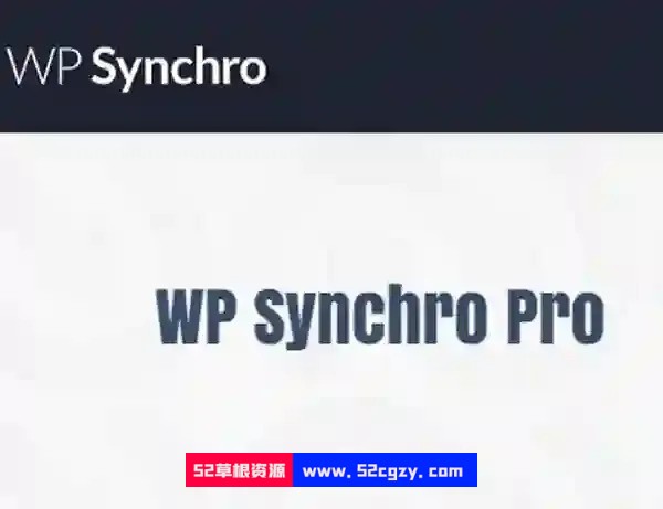 WP Synchro Pro汉化版-专业站点迁移WordPress插件 wordpress主题/插件 第1张