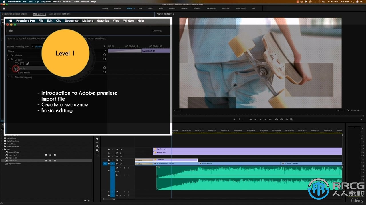 Premiere Pro新手视频编辑技术训练视频教程 Procreate 第5张