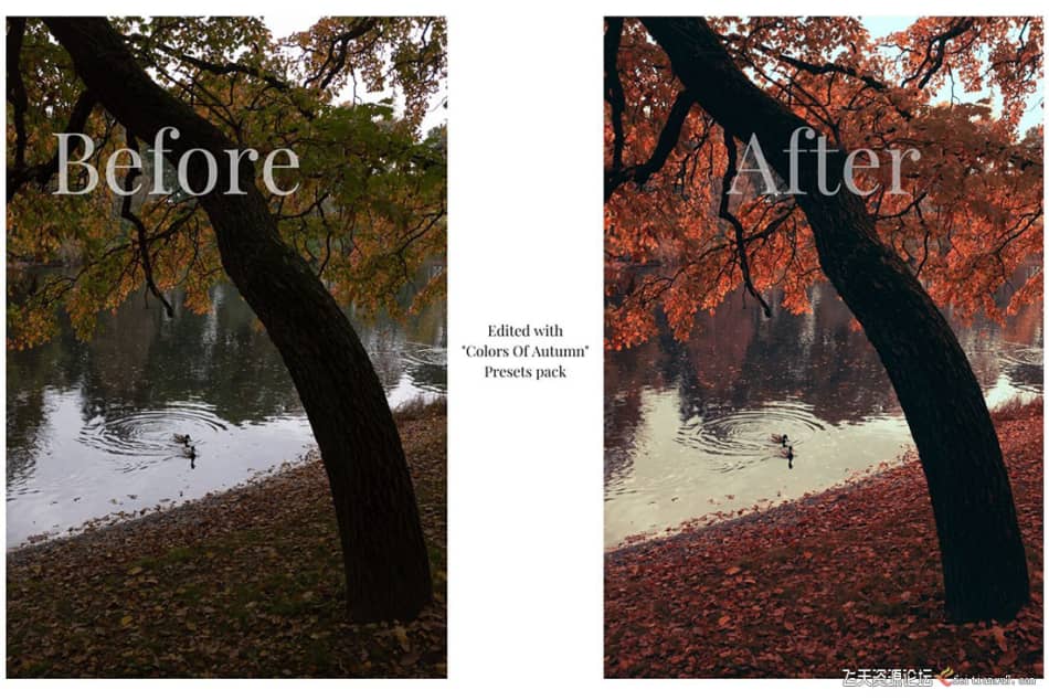 [旅拍LR预设] 街头摄影师 Viktor Balaguer 秋天的色彩Lightroom预设 Colors Of Autumn LR预设 第2张