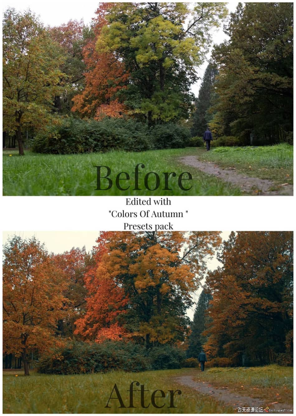 [旅拍LR预设] 街头摄影师 Viktor Balaguer 秋天的色彩Lightroom预设 Colors Of Autumn LR预设 第7张
