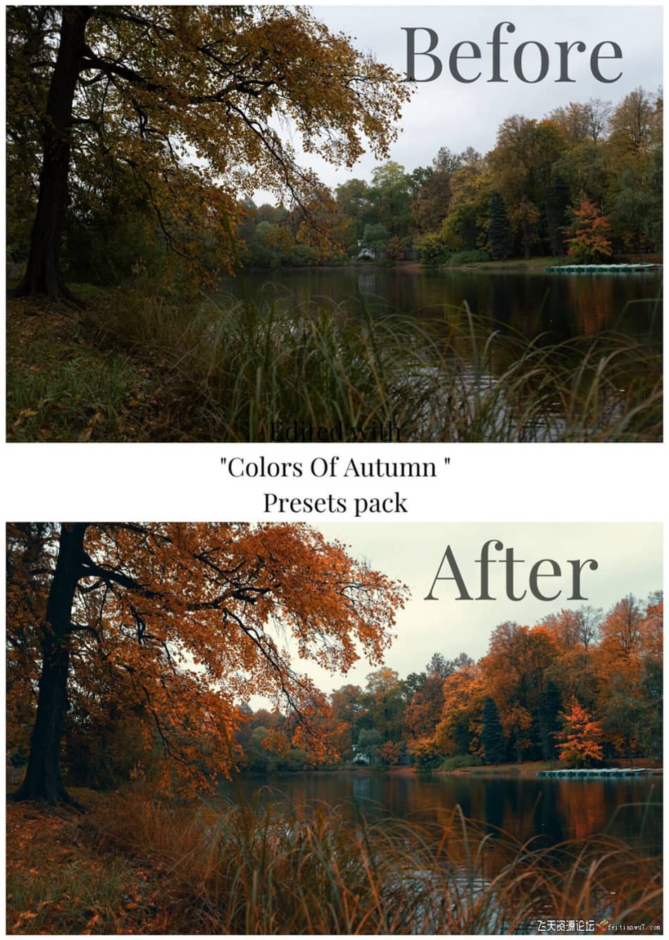[旅拍LR预设] 街头摄影师 Viktor Balaguer 秋天的色彩Lightroom预设 Colors Of Autumn LR预设 第6张