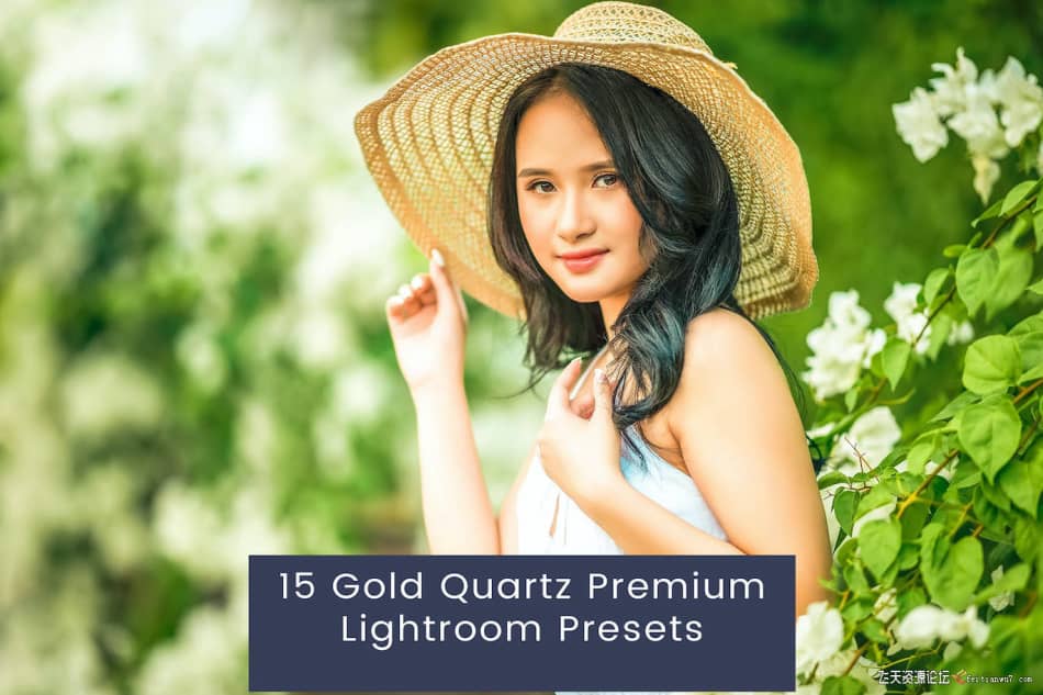 LR预设复古胶片人像Lightroom预设 Gold Quartz Premium Lightroom Presets LR预设 第1张