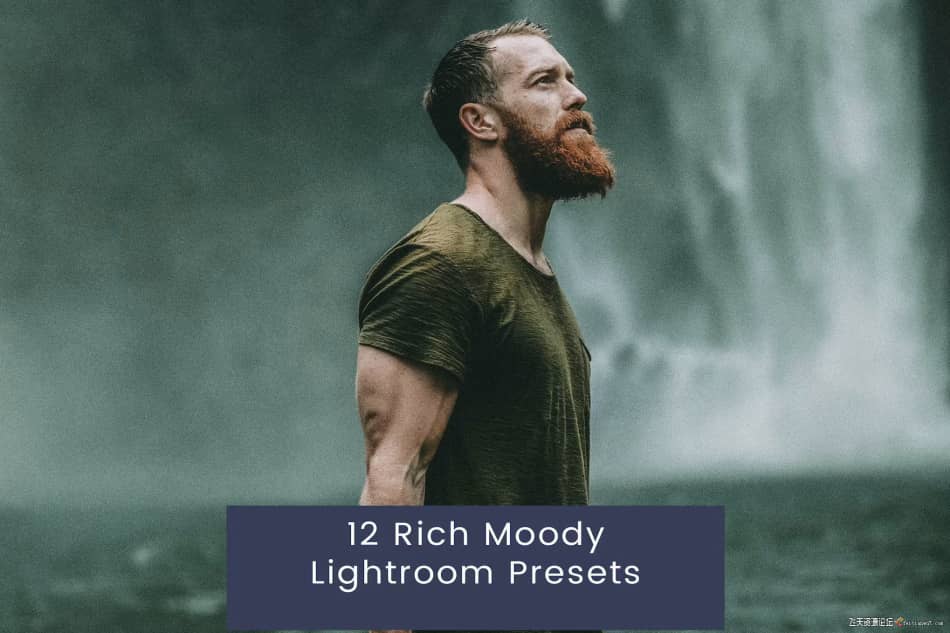[人像LR预设] 情绪电影人像后期Lightroom预设 12 Rich Moody Lightroom Presets LR预设 第1张