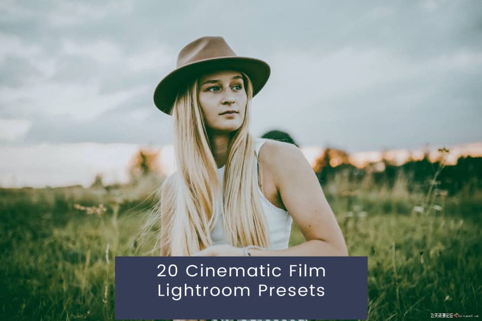 [胶片LR预设] 电影胶片色调Lightroom预设 20 Cinematic Film Lightroom Presets LR预设 第1张