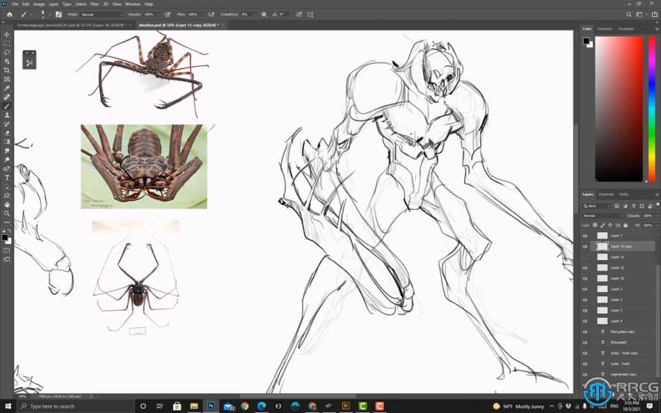 Norris Lin画师昆虫类生物设计数字绘画视频教程 CG 第11张
