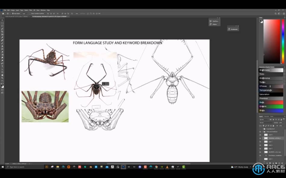 Norris Lin画师昆虫类生物设计数字绘画视频教程 CG 第8张